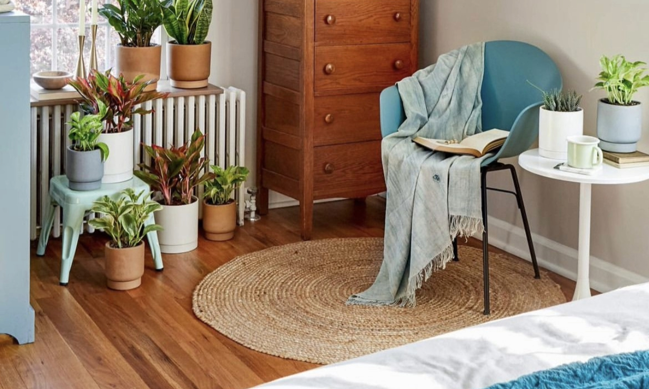 Round Jute Rugs!